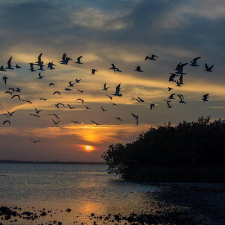 Hotel Rivera Del Rio La Pesca Dış mekan fotoğraf