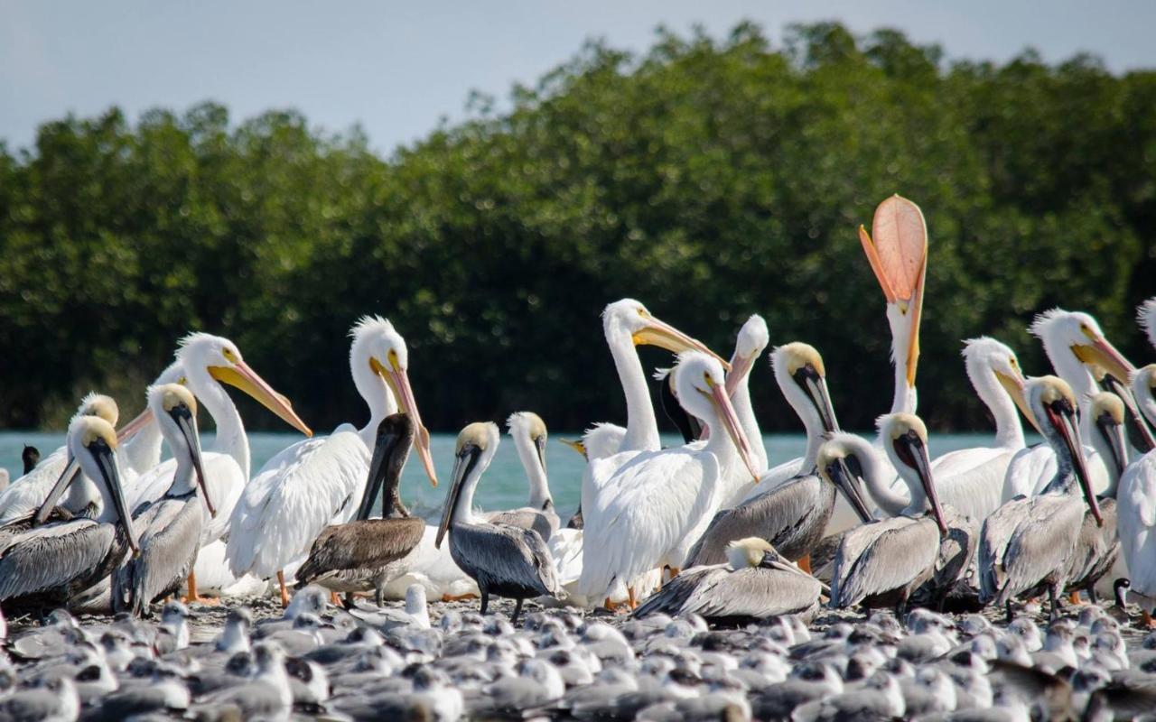 Hotel Rivera Del Rio La Pesca Dış mekan fotoğraf